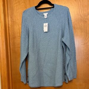 J. Jill Light Blue Crew Neck Sweater